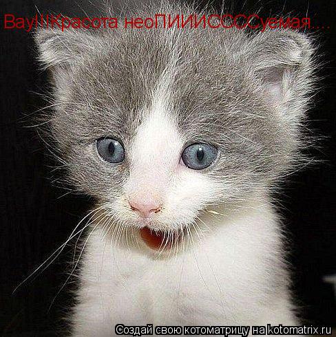 Вау!!!Красота неоПИИИССССуемая....... Котоматрица: Вау!!!Красота неоПИИИССССуемая....
