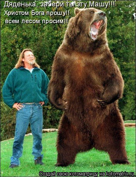 Дяденька, забери ты эту Машу!!! Христом Бога прошу!! всем лесом просим!!... Котоматрица: Дяденька, забери ты эту Машу!!! Христом Бога прошу!! всем лесом просим!!