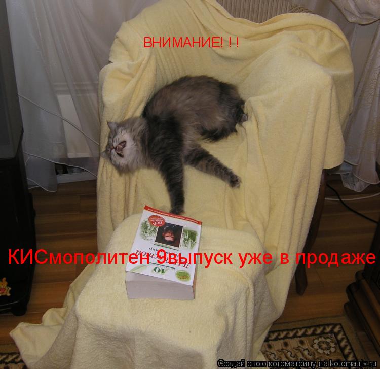 ВНИМАНИЕ! ! ! КИСмополитен 9выпуск уже в продаже... Котоматрица: ВНИМАНИЕ! ! ! КИСмополитен 9выпуск уже в продаже