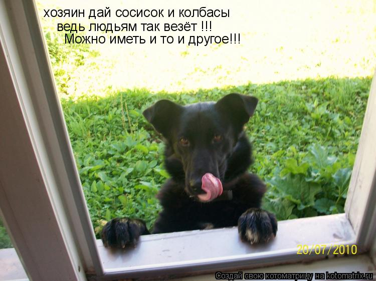 Котоматрица: хозяин дай сосисок и колбасы  ведь людьям так везёт !!! Можно иметь и то и другое!!!