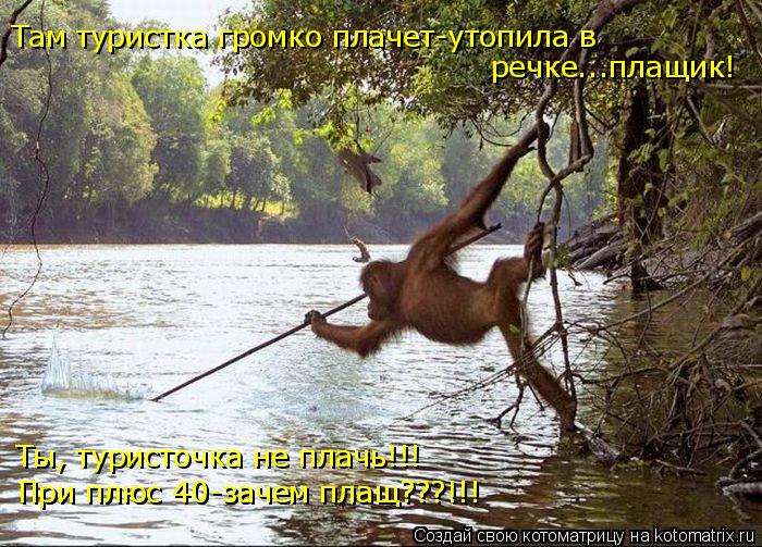 Там туристка громко плачет-утопила в речке...плащик! Ты, туристочка не плачь!!! При плюс 40-зачем пл... Котоматрица: Там туристка громко плачет-утопила в речке...плащик! Ты, туристочка не плачь!!! При плюс 40-зачем плащ???!!! При плюс 40-зачем плащ???!!!
