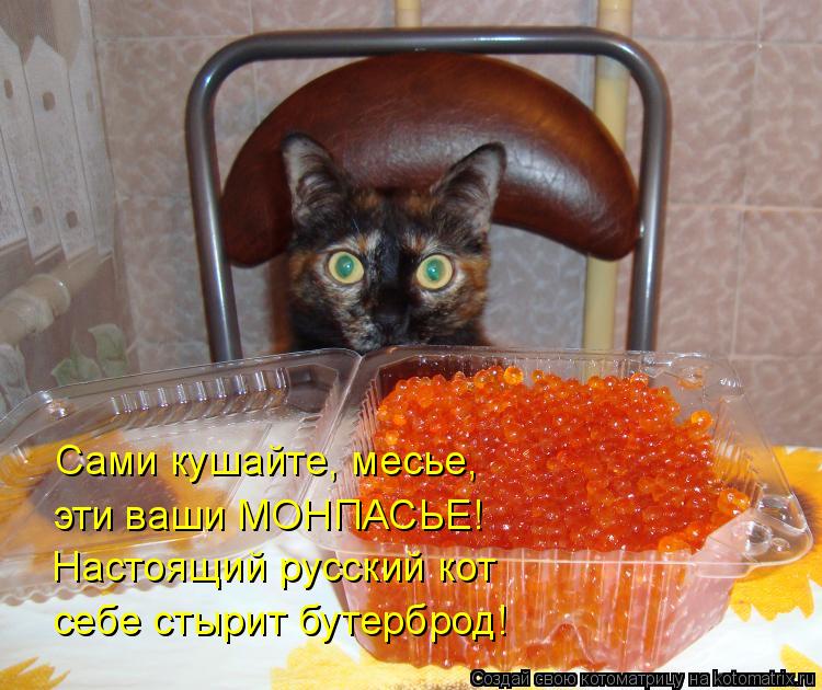 Сами кушайте, месье, эти ваши МОНПАСЬЕ! Настоящий русский кот себе стырит бутерброд!... Котоматрица: Сами кушайте, месье, эти ваши МОНПАСЬЕ! Настоящий русский кот себе стырит бутерброд!