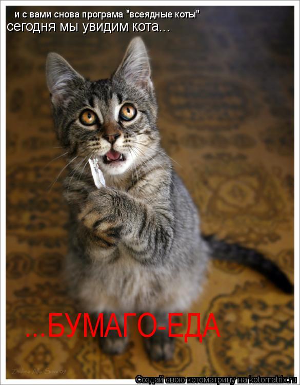 и с вами снова програма "всеядные коты" сегодня мы увидим кота... ...БУМАГО-ЕДА... Котоматрица: и с вами снова програма "всеядные коты" сегодня мы увидим кота... ...БУМАГО-ЕДА