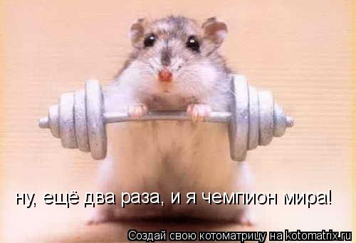 ну, ещё два раза, и я чемпион мира! ну, ещё два раза, и я чемпион мира!... Котоматрица: ну, ещё два раза, и я чемпион мира! ну, ещё два раза, и я чемпион мира!