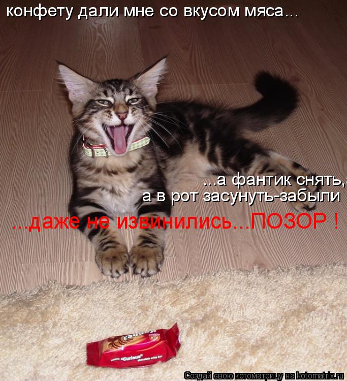 конфету дали мне со вкусом мяса... ...а фантик снять,а в рот засунуть-забыли а в рот засунуть-забыли ... Котоматрица: конфету дали мне со вкусом мяса... ...а фантик снять,а в рот засунуть-забыли а в рот засунуть-забыли ...даже не извинились...ПОЗОР ! ! !