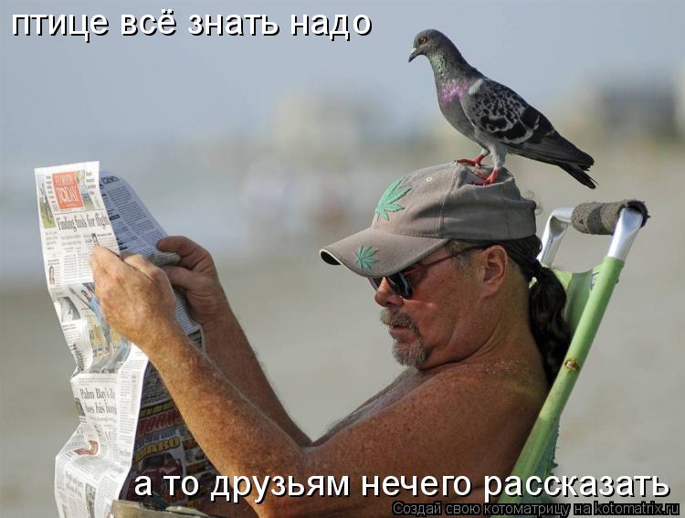 птице всё знать надо а то друзьям нечего рассказать... Котоматрица: птице всё знать надо а то друзьям нечего рассказать