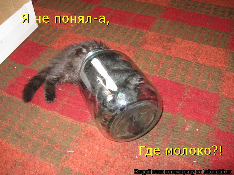 Я не понял-а, Где молоко?!... Котоматрица: Я не понял-а, Где молоко?!