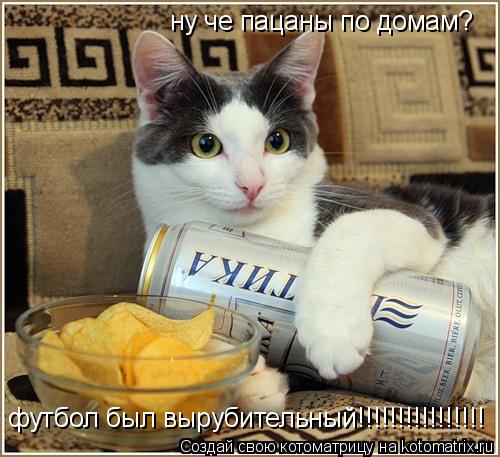 ну че пацаны по домам? футбол был вырубительный!!!!!!!!!!!!!!!!... Котоматрица: ну че пацаны по домам? футбол был вырубительный!!!!!!!!!!!!!!!!