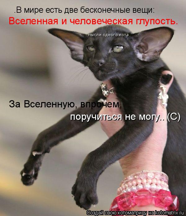 “В мире есть две бесконечные вещи: Вселенная и человеческая глупость. За Вселенную, впрочем, поруч... Котоматрица: “В мире есть две бесконечные вещи: Вселенная и человеческая глупость. За Вселенную, впрочем, поручиться не могу”. (С) мысли одного кота