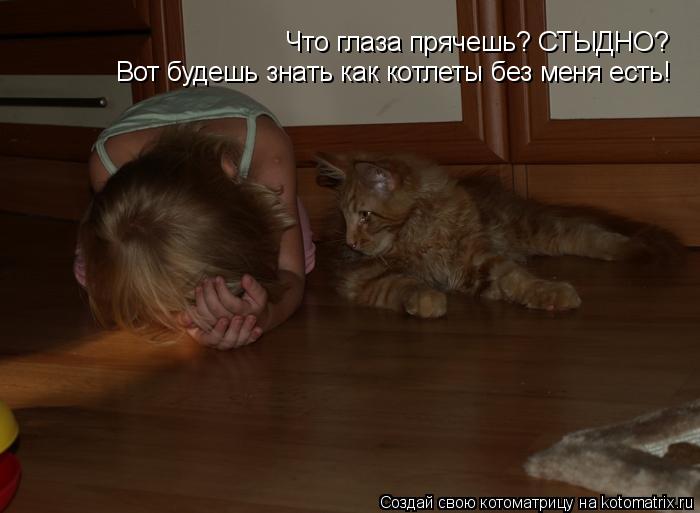 Что глаза прячешь? СТЫДНО? Вот будешь знать как котлеты без меня есть!... Котоматрица: Что глаза прячешь? СТЫДНО? Вот будешь знать как котлеты без меня есть!