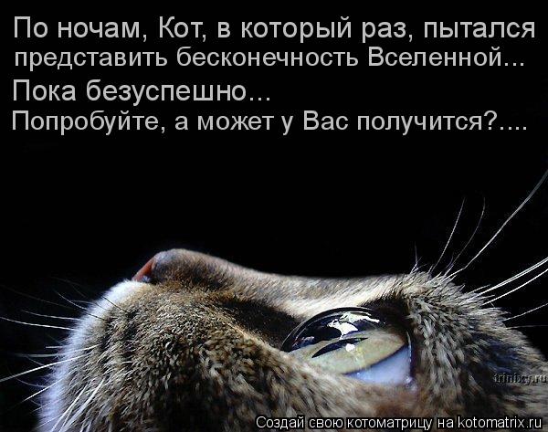 По ночам, Кот, в который раз, пытался представить бесконечность Вселенной... Пока безуспешно... Попро... Котоматрица: По ночам, Кот, в который раз, пытался представить бесконечность Вселенной... Пока безуспешно... Попробуйте, а может у Вас получится?....