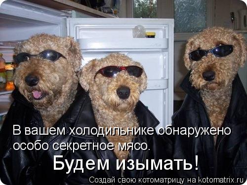 В вашем холодильнике обнаружено особо секретное мясо. Будем изымать!... Котоматрица: В вашем холодильнике обнаружено особо секретное мясо. Будем изымать!
