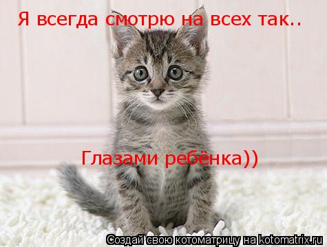 Я всегда смотрю на всех так.. Глазами ребёнка))... Котоматрица: Я всегда смотрю на всех так.. Глазами ребёнка))