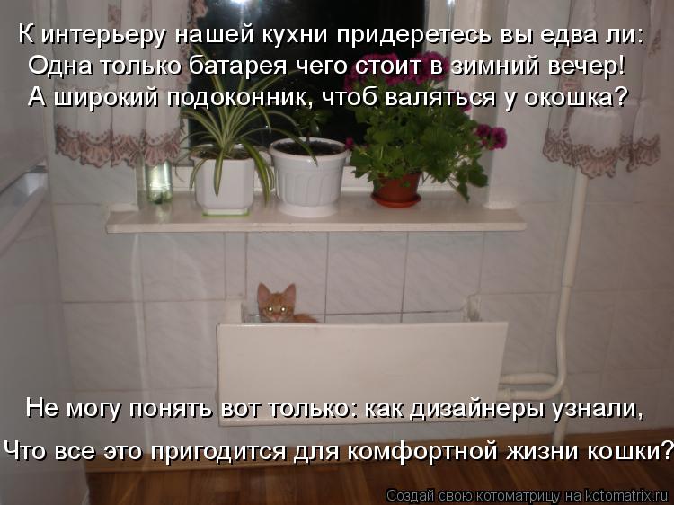 К интерьеру нашей кухни придеретесь вы едва ли: Одна только батарея чего стоит в зимний вечер! А шир... Котоматрица: К интерьеру нашей кухни придеретесь вы едва ли: Одна только батарея чего стоит в зимний вечер! А широкий подоконник, чтоб валяться у окошка?