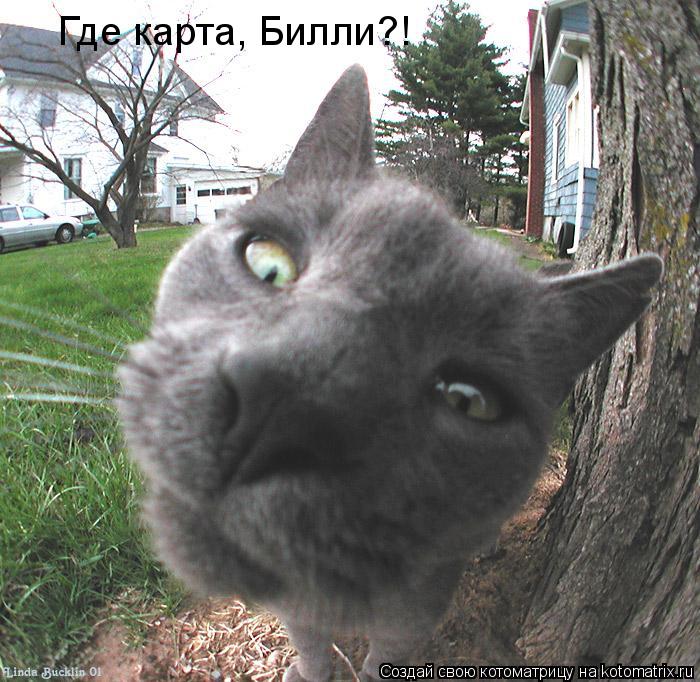 Где карта, Билли?!... Котоматрица: Где карта, Билли?!