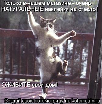 Только в нашем магазине - очень НАТУРАЛЬНЫЕ наклейки на стекло! ОЖИВИТЕ свой дом!... Котоматрица: Только в нашем магазине - очень НАТУРАЛЬНЫЕ наклейки на стекло! ОЖИВИТЕ свой дом!