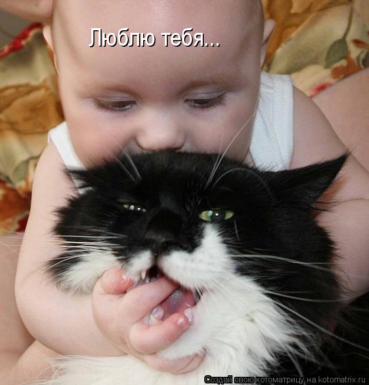 Люблю тебя...... Котоматрица: Люблю тебя...