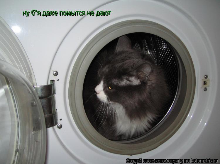 ну б*я даже помытся не дают... Котоматрица: ну б*я даже помытся не дают