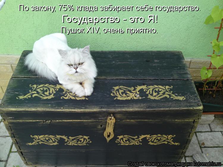 По закону, 75% клада забирает себе государство. Государство - это Я! Пушок XIV, очень приятно.... Котоматрица: По закону, 75% клада забирает себе государство. Государство - это Я! Пушок XIV, очень приятно.