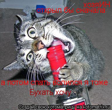 хозяИН открыл бы сначала а потом спать волился я тоже Бухать хочу... Котоматрица: хозяИН открыл бы сначала а потом спать волился я тоже Бухать хочу