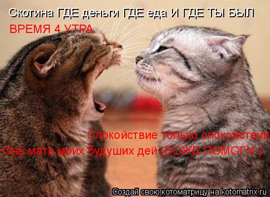 Скотина ГДЕ деньги ГДЕ еда И ГДЕ ТЫ БЫЛ ВРЕМЯ 4 УТРА Спокойствие только спокойствие Она мать моих б... Котоматрица: Скотина ГДЕ деньги ГДЕ еда И ГДЕ ТЫ БЫЛ ВРЕМЯ 4 УТРА Спокойствие только спокойствие Она мать моих будуших дей (БОЖЕ ПОМОГИ )
