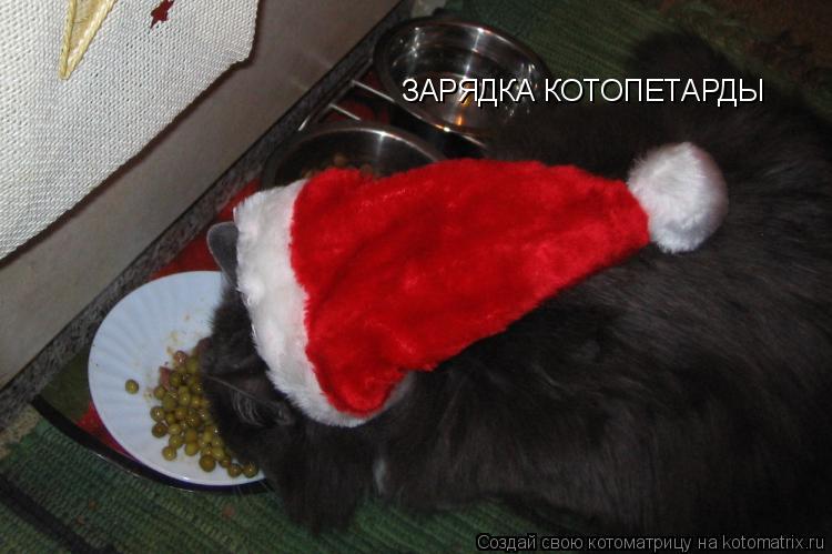 ЗАРЯДКА КОТОПЕТАРДЫ... Котоматрица: ЗАРЯДКА КОТОПЕТАРДЫ