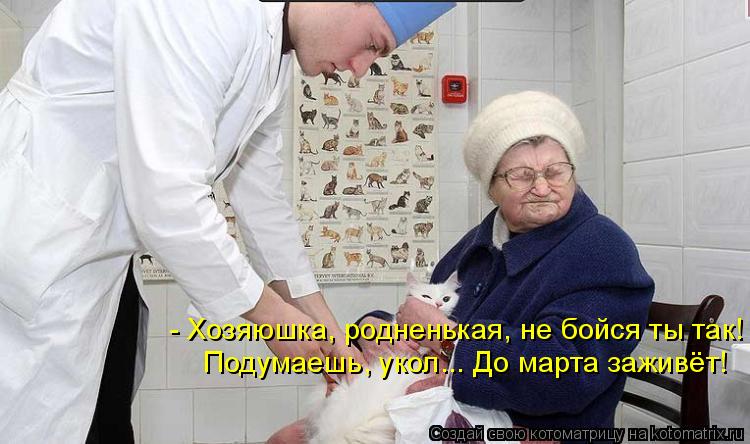 - Хозяюшка, родненькая, не бойся ты так! Подумаешь, укол... До марта заживёт!... Котоматрица: - Хозяюшка, родненькая, не бойся ты так! Подумаешь, укол... До марта заживёт!