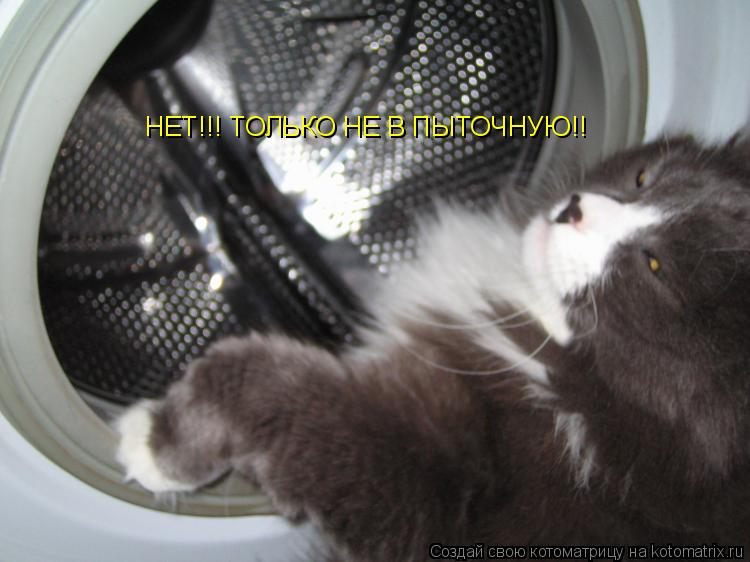 НЕТ!!! ТОЛЬКО НЕ В ПЫТОЧНУЮ!!... Котоматрица: НЕТ!!! ТОЛЬКО НЕ В ПЫТОЧНУЮ!!