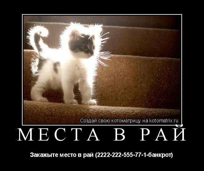 Котоматрица: Места в рай Закажыте место в рай (2222-222-555-77-1-банкрот)