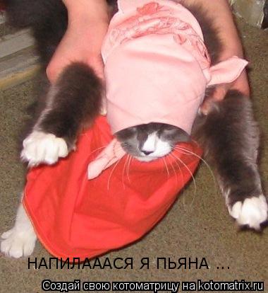 НАПИЛАААСЯ Я ПЬЯНА ...... Котоматрица: НАПИЛАААСЯ Я ПЬЯНА ...