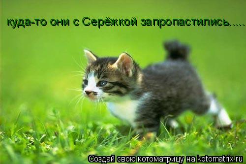 куда-то они с Серёжкой запропастились........ Котоматрица: куда-то они с Серёжкой запропастились.....