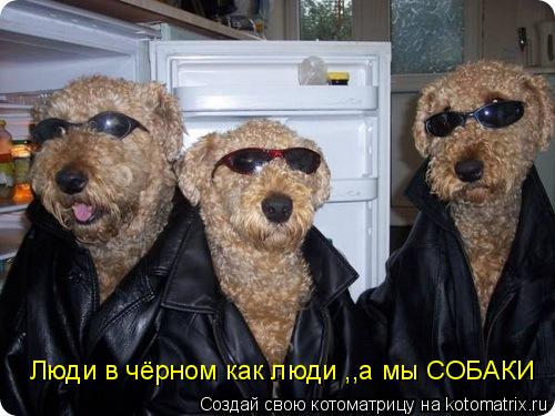 Люди в чёрном как люди ,,а мы СОБАКИ... Котоматрица: Люди в чёрном как люди ,,а мы СОБАКИ
