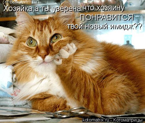 Хозяйка,а ты уверена ,что хозяину ПОНРАВИТСЯ твой новый имидж??... Котоматрица: Хозяйка,а ты уверена ,что хозяину ПОНРАВИТСЯ твой новый имидж??