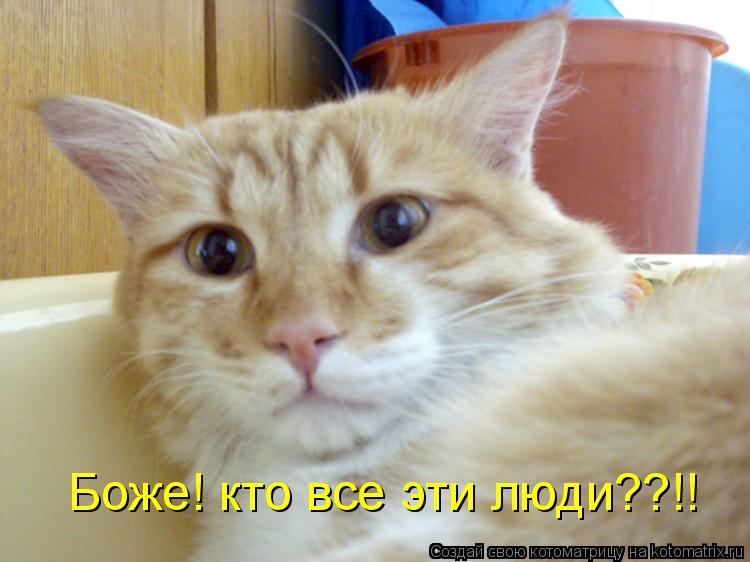 Боже! кто все эти люди??!!... Котоматрица: Боже! кто все эти люди??!!