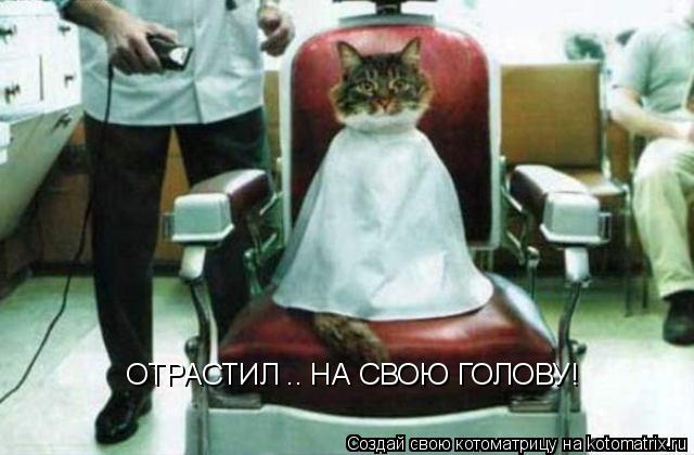 ОТРАСТИЛ .. НА СВОЮ ГОЛОВУ!... Котоматрица: ОТРАСТИЛ .. НА СВОЮ ГОЛОВУ!