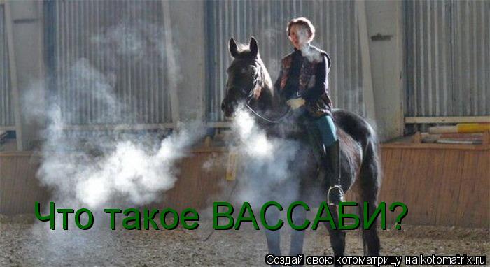Что такое ВАССАБИ?... Котоматрица: Что такое ВАССАБИ?