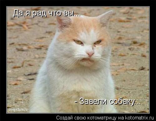 Да,я рад что вы... - Завели собаку...... Котоматрица: Да,я рад что вы... - Завели собаку...