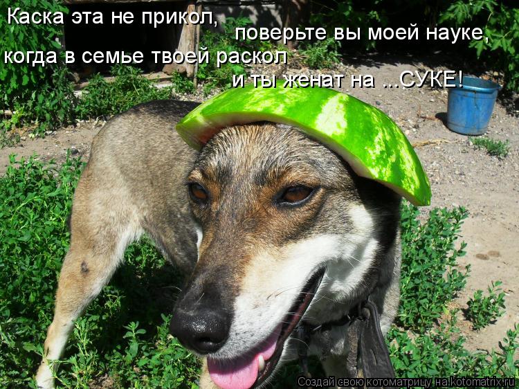 Каска эта не прикол, поверьте вы моей науке, когда в семье твоей раскол и ты женат на ...СУКЕ!... Котоматрица: Каска эта не прикол, поверьте вы моей науке, когда в семье твоей раскол и ты женат на ...СУКЕ!