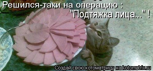 Решился-таки на операцию : "Подтяжка лица..." !... Котоматрица: Решился-таки на операцию : "Подтяжка лица..." !