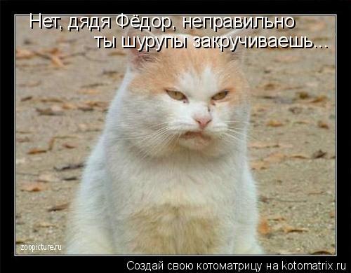 Нет, дядя Фёдор, неправильно ты шурупы закручиваешь...... Котоматрица: Нет, дядя Фёдор, неправильно ты шурупы закручиваешь...