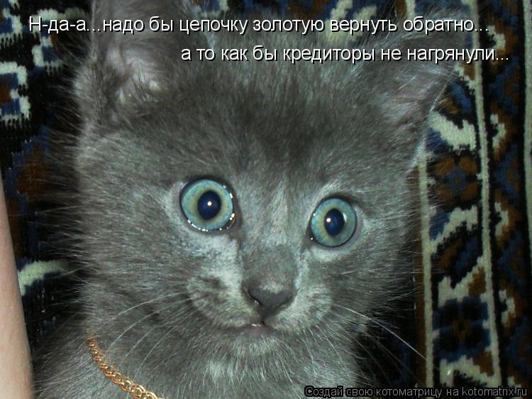 Н-да-а...надо бы цепочку золотую вернуть обратно... а то как бы кредиторы не нагрянули...... Котоматрица: Н-да-а...надо бы цепочку золотую вернуть обратно... а то как бы кредиторы не нагрянули...