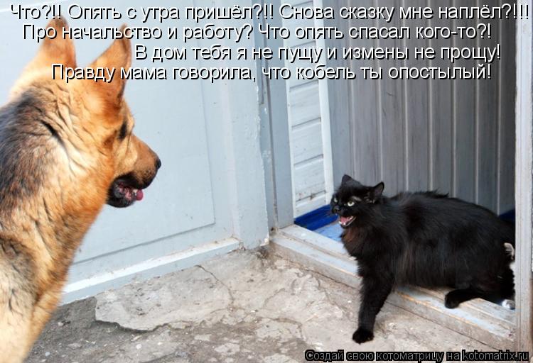 Что?!! Опять с утра пришёл?!! Снова сказку мне наплёл?!!! Про начальство и работу? Что опять спас... Котоматрица: Что?!! Опять с утра пришёл?!! Снова сказку мне наплёл?!!! Про начальство и работу? Что опять спасал кого-то?! В дом тебя я не пущу и измены н