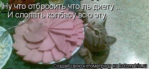Ну что отбросить что ль диету ... И слопать колбасу всю эту ...... Котоматрица: Ну что отбросить что ль диету ... И слопать колбасу всю эту ...