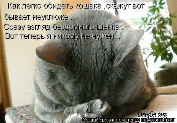 Как легко обидеть кошака ,скажут вот бывает неуклюже ... Сразу взгляд бездомного щенка ... Вот теперь... Котоматрица: Как легко обидеть кошака ,скажут вот бывает неуклюже ... Сразу взгляд бездомного щенка ... Вот теперь я никому не нужен...