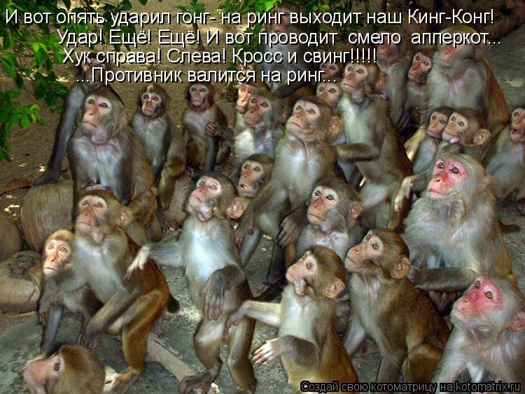 И вот опять ударил гонг- на ринг выходит наш Кинг-Конг! Удар! Ещё! Ещё! И вот проводит смело апперк... Котоматрица: И вот опять ударил гонг- на ринг выходит наш Кинг-Конг! Удар! Ещё! Ещё! И вот проводит смело апперкот... Хук справа! Слева! Кросс и свинг!!!!! ...Пр
