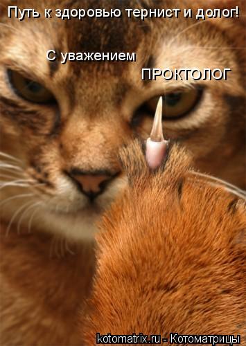 Котоматрица: Путь к здоровью тернист и долог! С уважением   ПРОКТОЛОГ