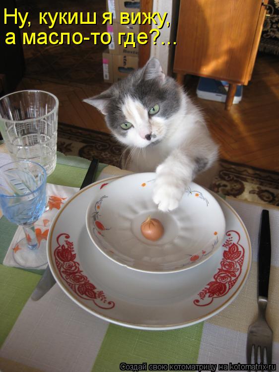 Ну, кукиш я вижу, а масло-то где?...... Котоматрица: Ну, кукиш я вижу, а масло-то где?...