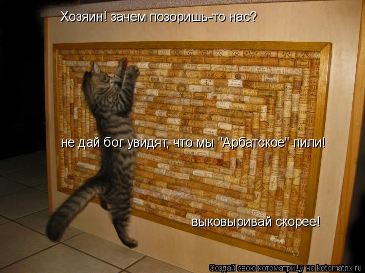Хозяин! зачем позоришь-то нас? не дай бог увидят, что мы "Арбатское" пили! выковыривай скорее!... Котоматрица: Хозяин! зачем позоришь-то нас? не дай бог увидят, что мы "Арбатское" пили! выковыривай скорее!