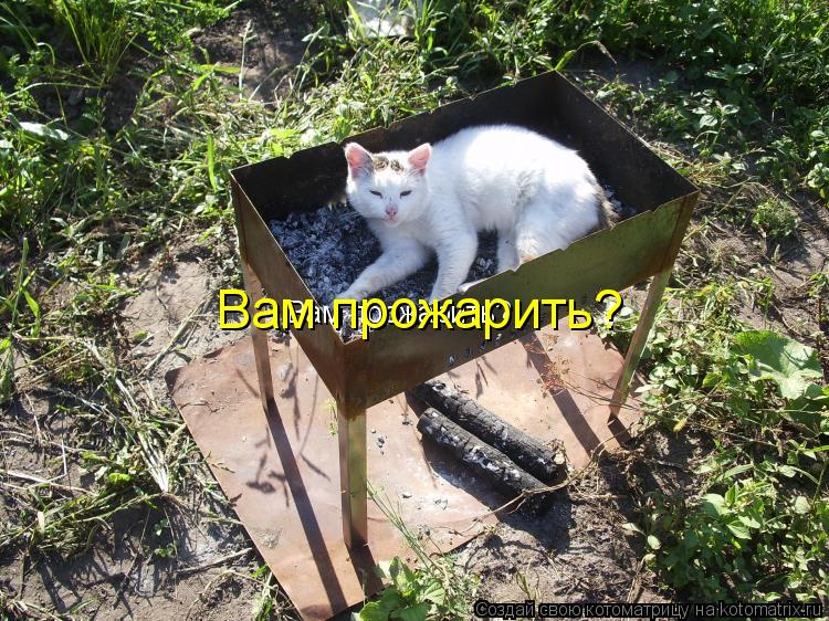 Вам прожарить? Вам прожарить?... Котоматрица: Вам прожарить? Вам прожарить?