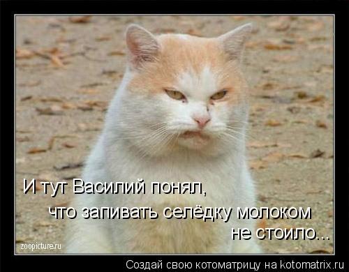 что запивать селёдку молоком не стоило... И тут Василий понял,... Котоматрица: что запивать селёдку молоком не стоило... И тут Василий понял,